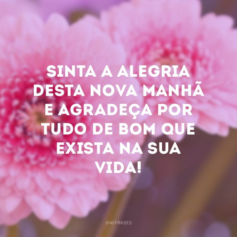 Sinta a alegria desta nova manhã e agradeça por tudo de bom que exista na sua vida!