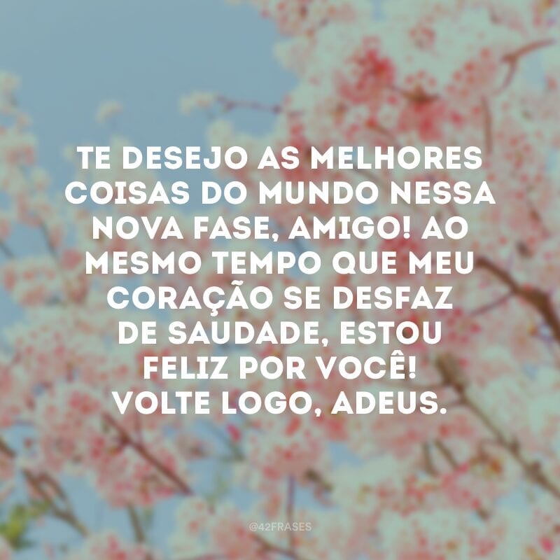 Te desejo as melhores coisas do mundo nessa nova fase, amigo! Ao mesmo tempo que meu coração se desfaz de saudade, estou feliz por você! Volte logo, adeus.