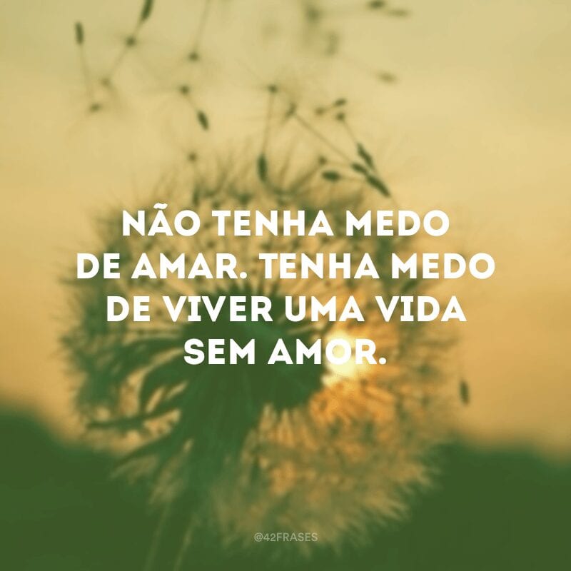 Não tenha medo de amar. Tenha medo de viver uma vida sem amor.