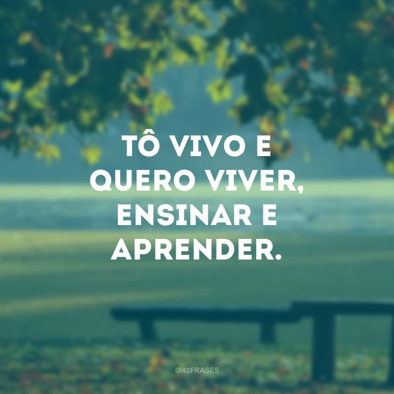 Tô vivo e quero viver, ensinar e aprender.