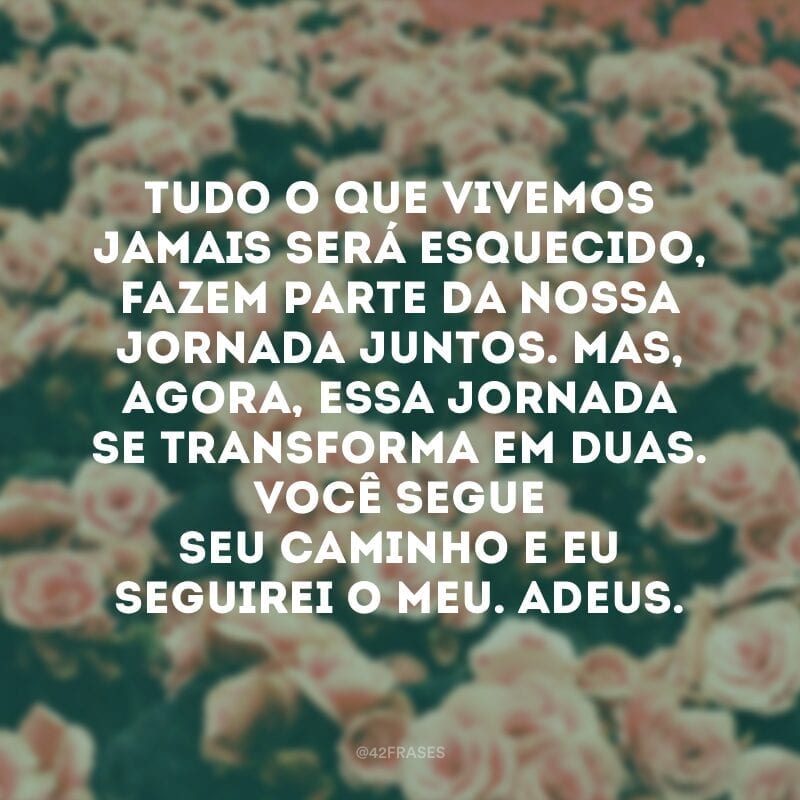 Tudo o que vivemos jamais será esquecido, fazem parte da nossa jornada juntos. Mas, agora, essa jornada se transforma em duas. Você segue seu caminho e eu seguirei o meu. Adeus.