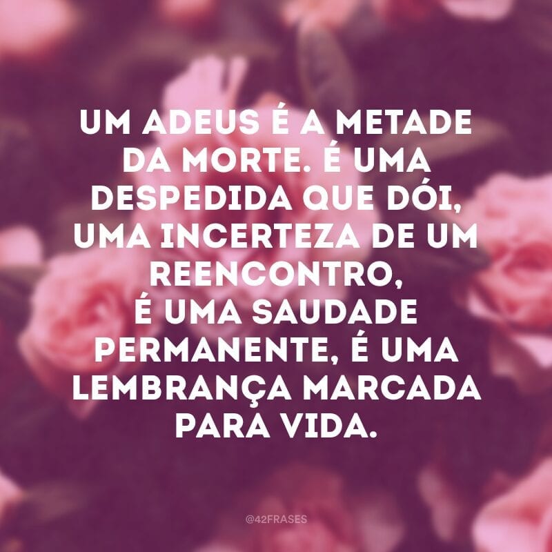 Um adeus é a metade da morte. É uma despedida que dói, uma incerteza de um reencontro, é uma saudade permanente, é uma lembrança marcada para vida.