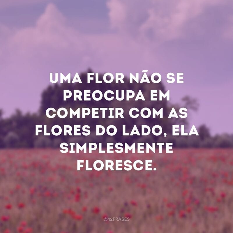 Uma flor não se preocupa em competir com as flores do lado, ela simplesmente floresce.