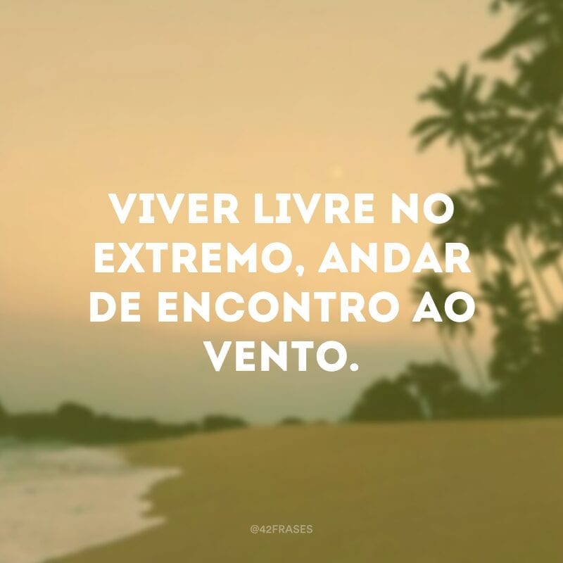 Viver livre no extremo, andar de encontro ao vento.