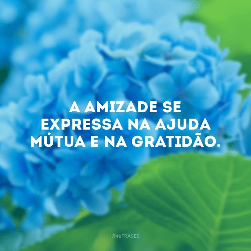 A amizade se expressa na ajuda mútua e na gratidão.