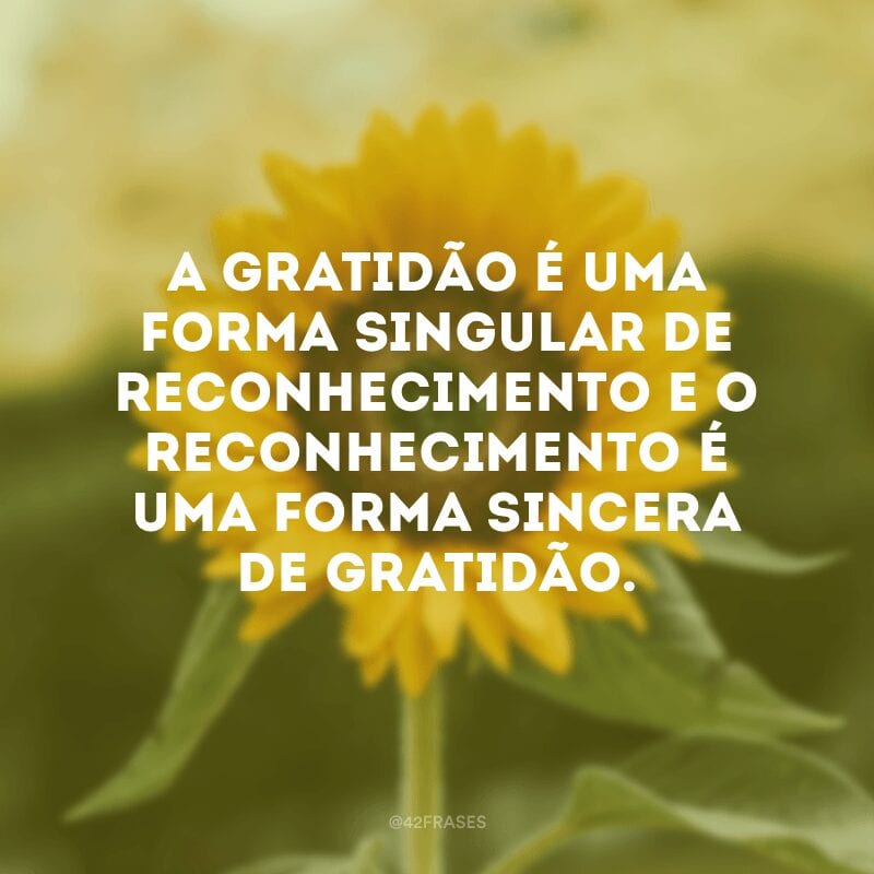 A gratidão é uma forma singular de reconhecimento e o reconhecimento é uma forma sincera de gratidão.