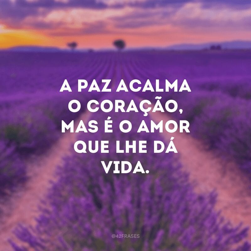 A paz acalma o coração, mas é o amor que lhe dá vida.