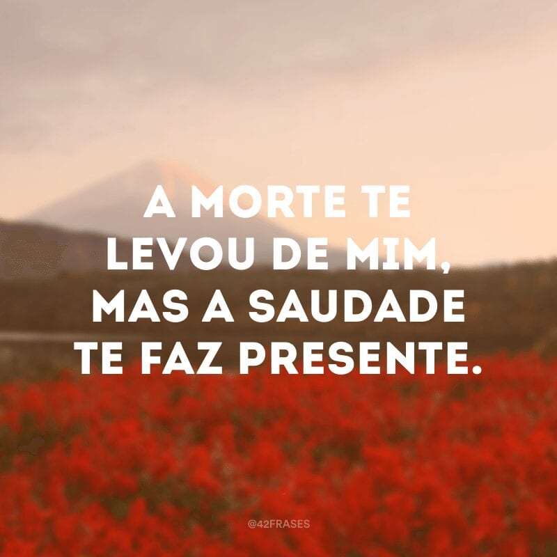 A morte te levou de mim, mas a saudade te faz presente.