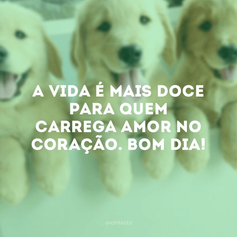 A vida é mais doce para quem carrega amor no coração. Bom dia!