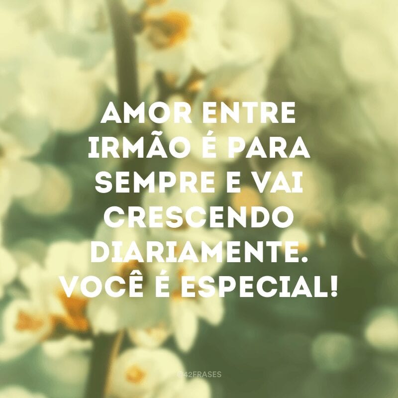 Amor entre irmão é para sempre e vai crescendo diariamente. Você é especial!