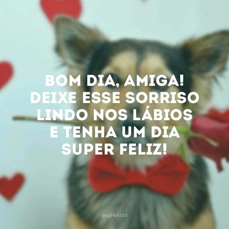 Bom dia, amiga! Deixe esse sorriso lindo nos lábios e tenha um dia super feliz!