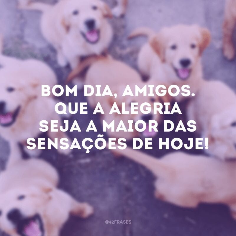 Bom dia, amigos. Que a alegria seja a maior das sensações de hoje!