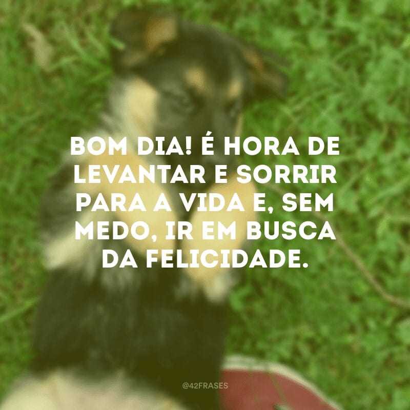 Bom dia! É hora de levantar e sorrir para a vida e, sem medo, ir em busca da felicidade.