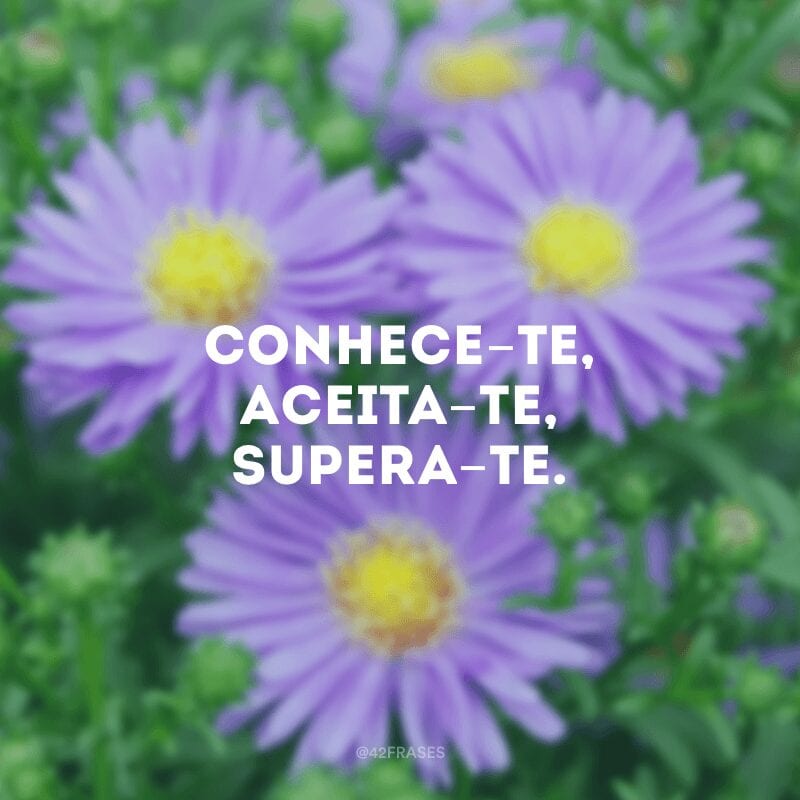 Conhece-te, aceita-te, supera-te.