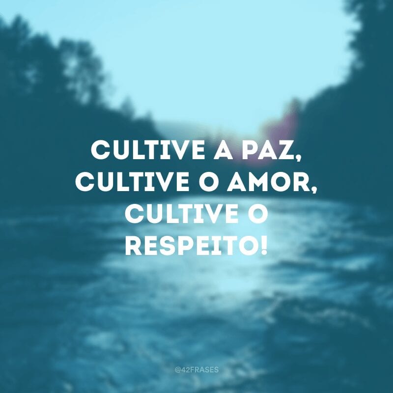 Cultive a paz, cultive o amor, cultive o respeito!