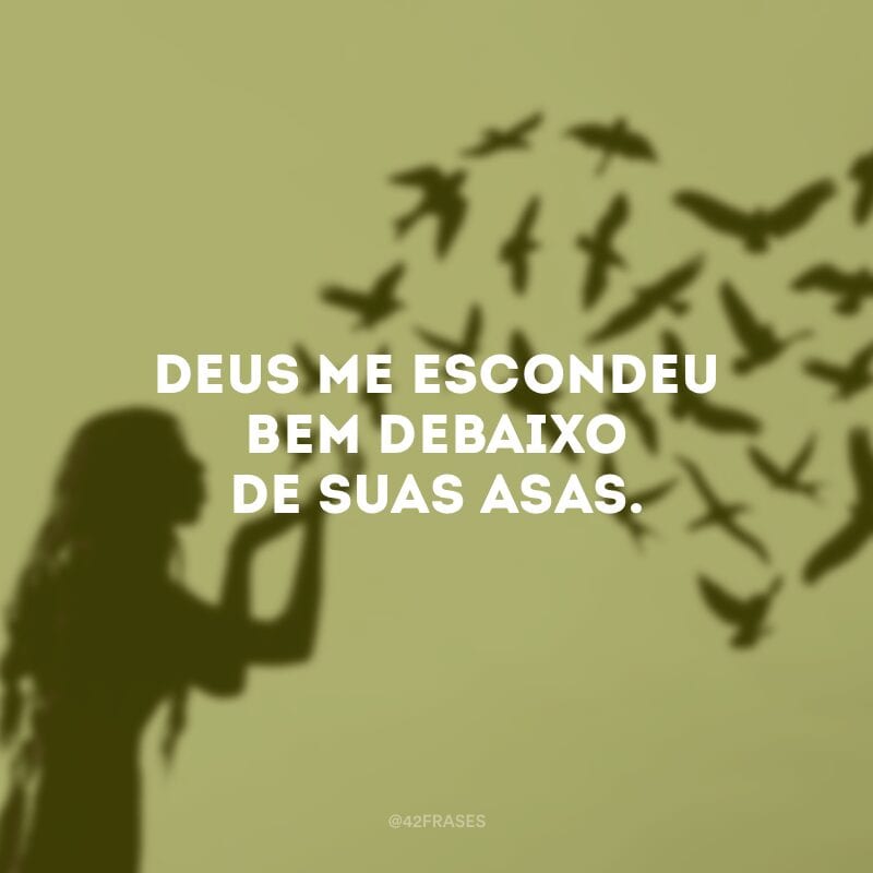 Deus me escondeu bem debaixo de suas asas. 