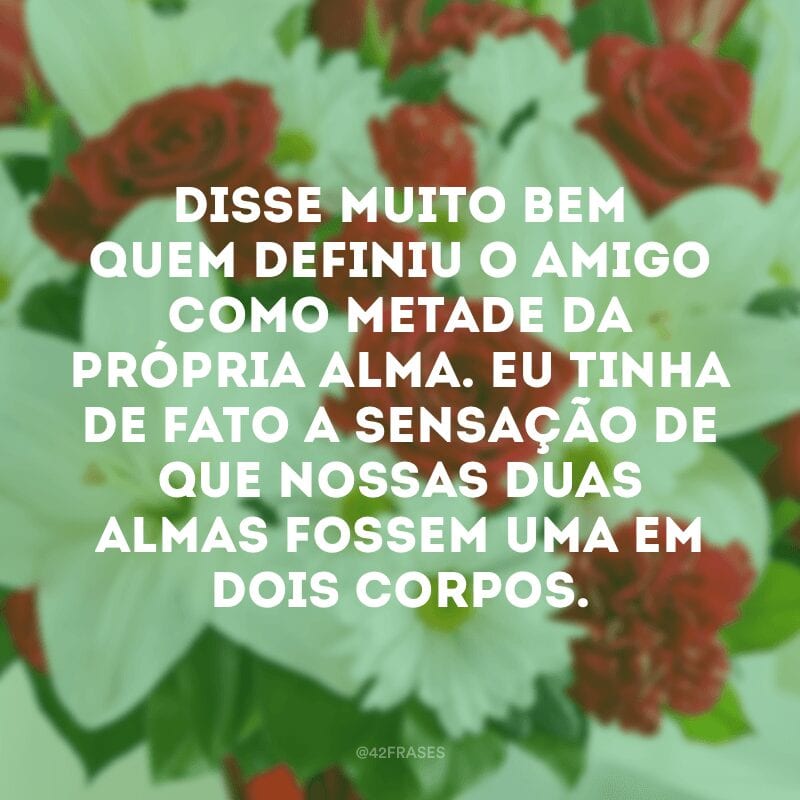 Disse muito bem quem definiu o amigo como metade da própria alma. Eu tinha de fato a sensação de que nossas duas almas fossem uma em dois corpos.