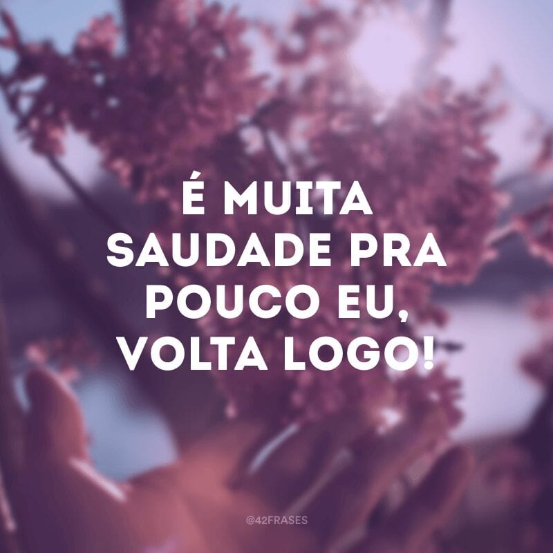 É muita saudade pra pouco eu, volta logo!