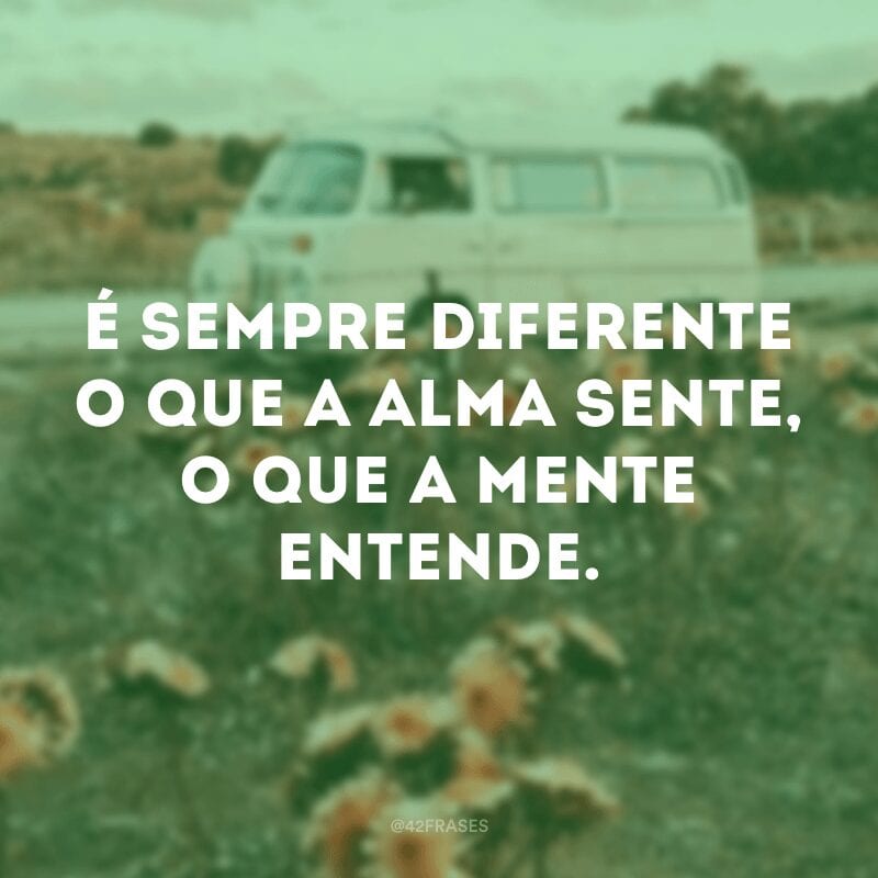 É sempre diferente o que a alma sente, o que a mente entende.