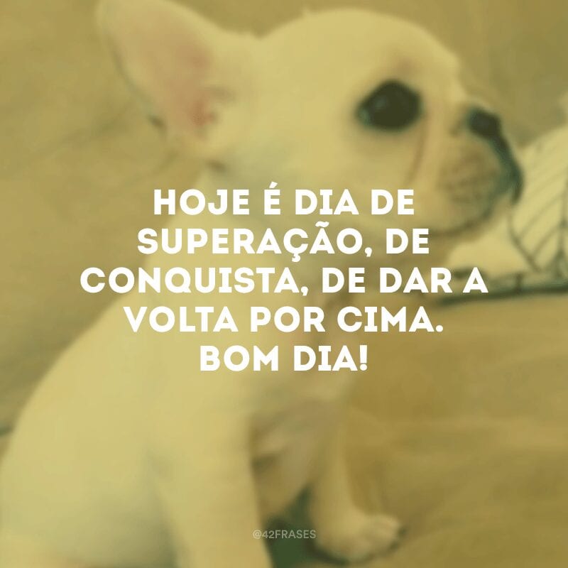 Hoje é dia de superação, de conquista, de dar a volta por cima. Bom dia!