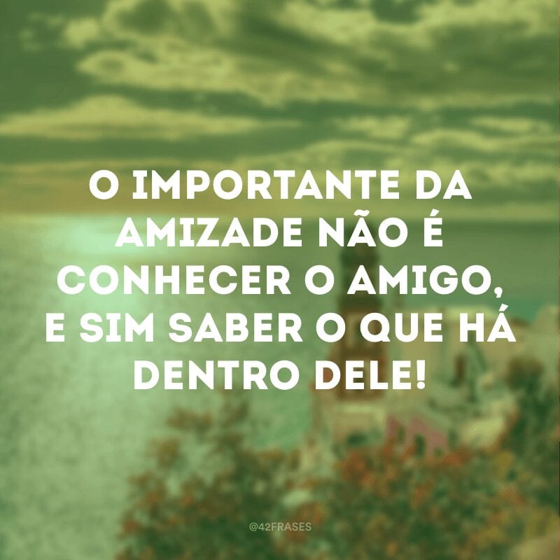 O importante da amizade não é conhecer o amigo, e sim saber o que há dentro dele!