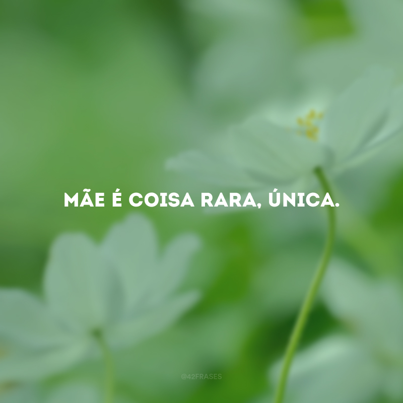 Mãe é coisa rara, única.