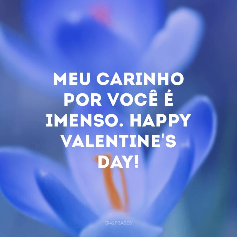 Meu carinho por você é imenso. Happy Valentine\'s day!