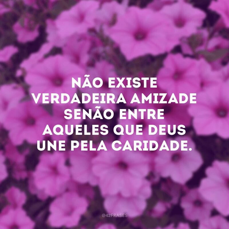 Não existe verdadeira amizade senão entre aqueles que Deus une pela caridade.