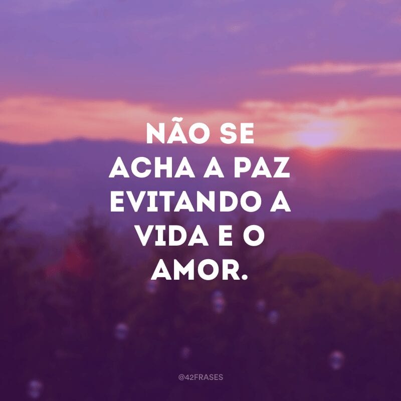 Não se acha a paz evitando a vida e o amor.