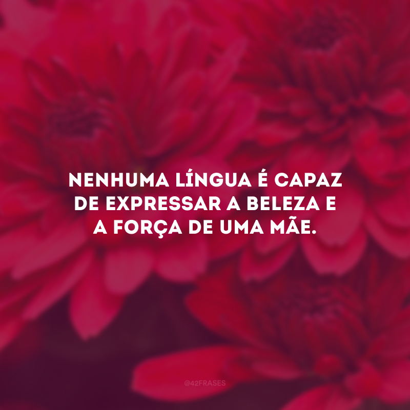 Nenhuma língua é capaz de expressar a beleza e a força de uma mãe.