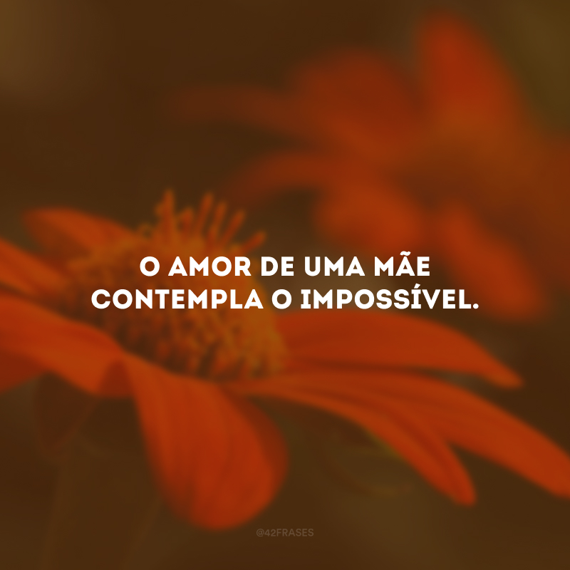 O amor de uma mãe contempla o impossível.