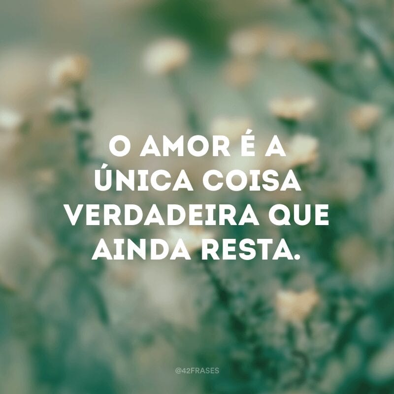 O amor é a única coisa verdadeira que ainda resta. 