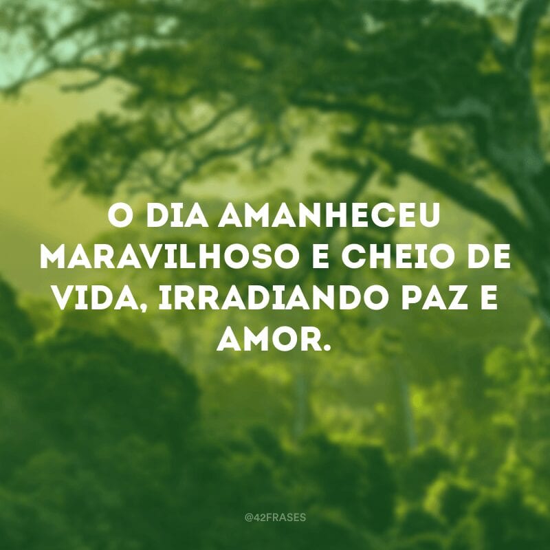 O dia amanheceu maravilhoso e cheio de vida, irradiando paz e amor.