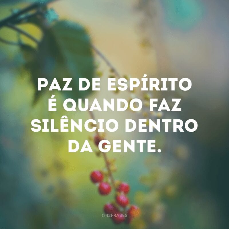 Paz de espírito é quando faz silêncio dentro da gente.