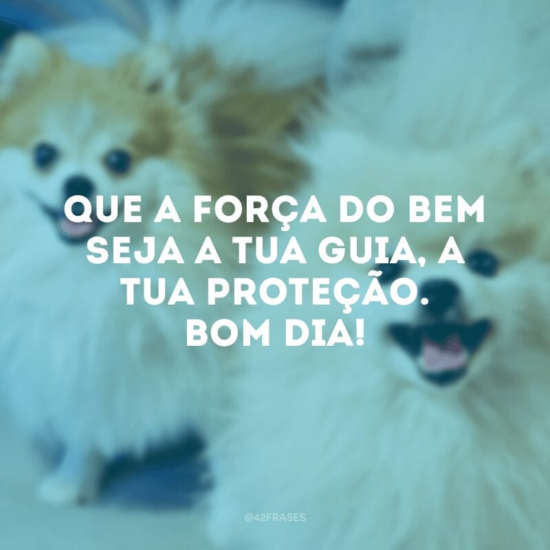 Que a força do bem seja a tua guia, a tua proteção. Bom dia!