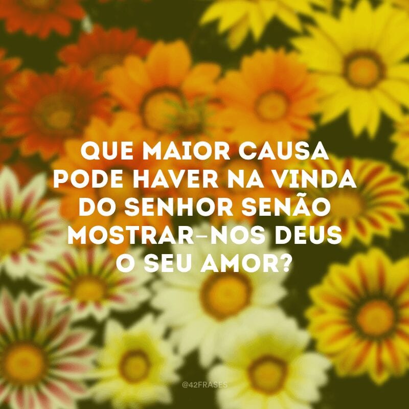 Que maior causa pode haver na vinda do Senhor senão mostrar-nos Deus o seu amor? 