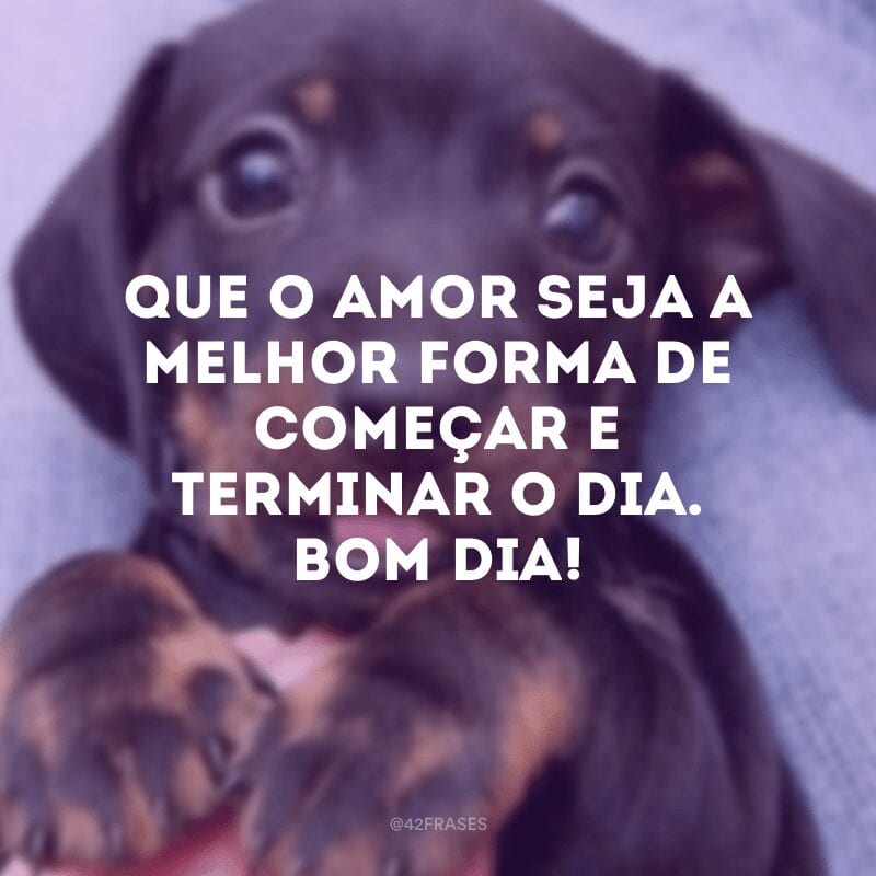 Que o amor seja a melhor forma de começar e terminar o dia. Bom dia!