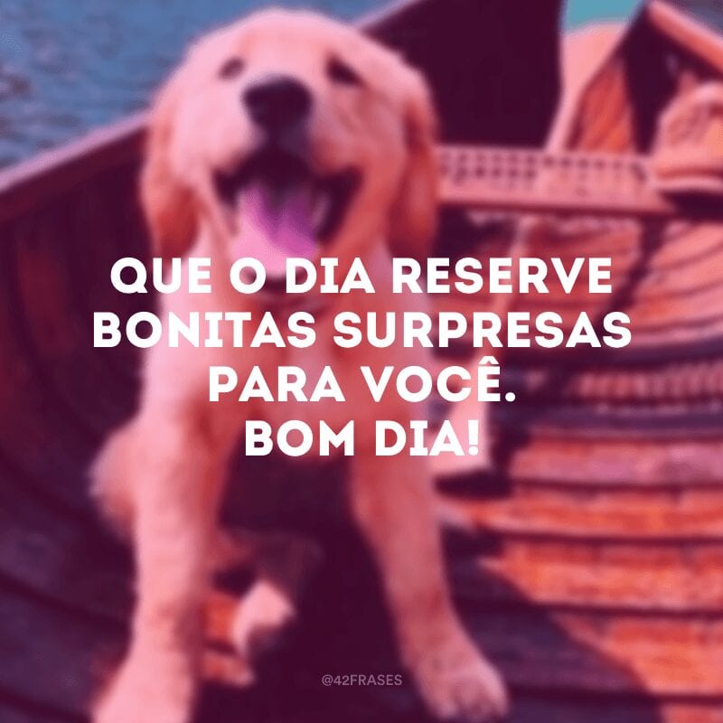 Que o dia reserve bonitas surpresas para você. Bom dia!