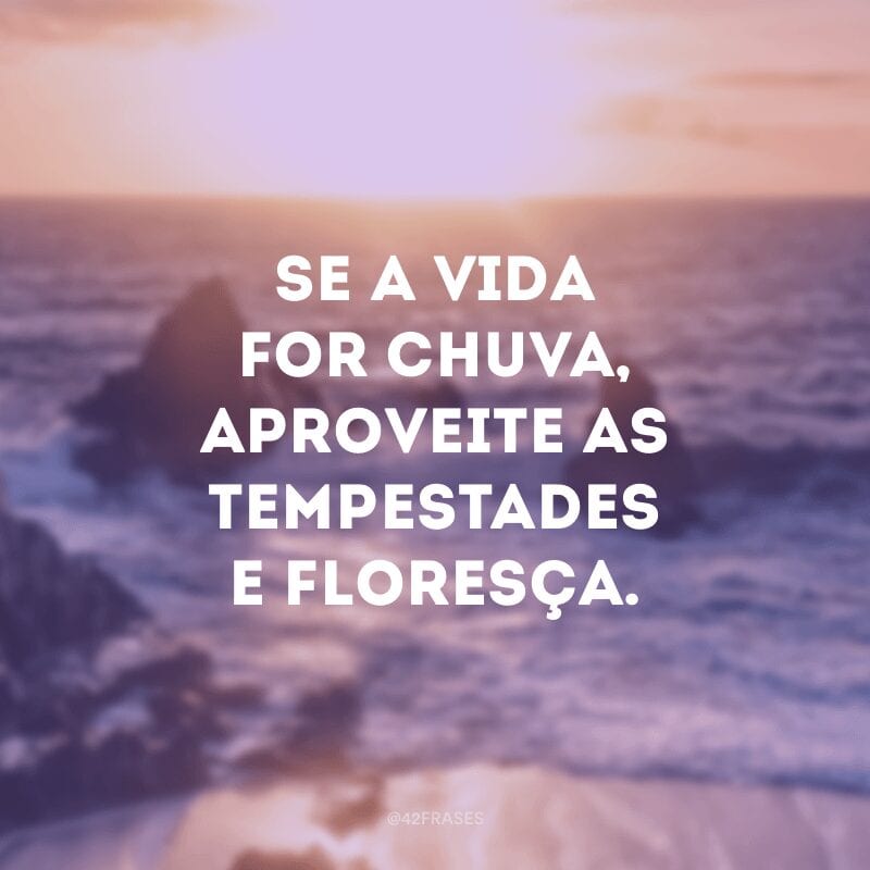 Se a vida for chuva, aproveite as tempestades e floresça.