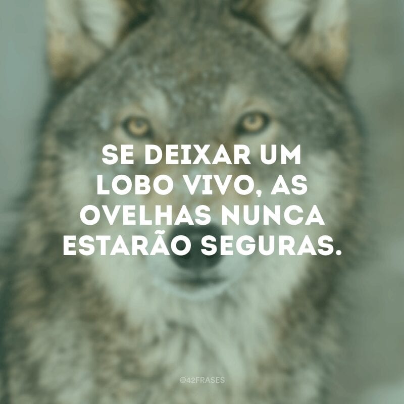 Se deixar um lobo vivo, as ovelhas nunca estarão seguras.