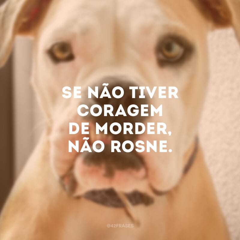 Se não tiver coragem de morder, não rosne.