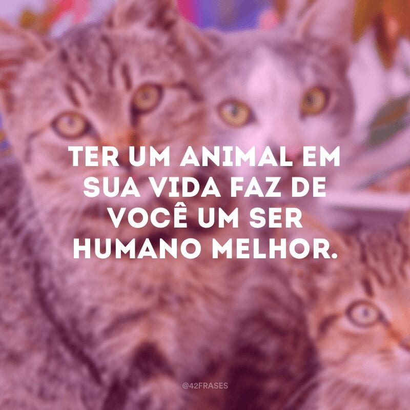 Ter um animal em sua vida faz de você um ser humano melhor. 