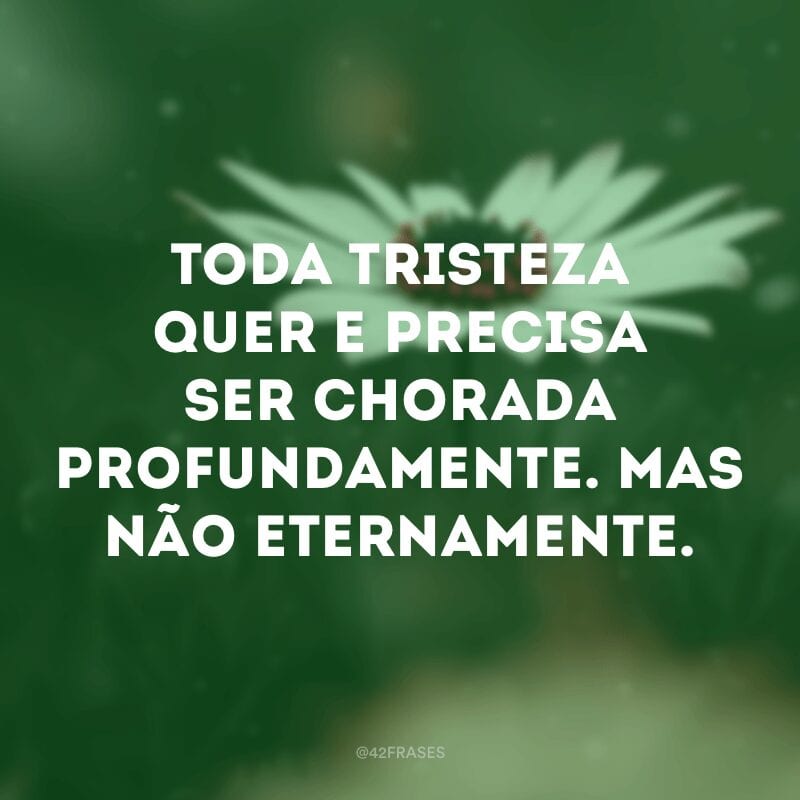 Toda tristeza quer e precisa ser chorada profundamente. Mas não eternamente.