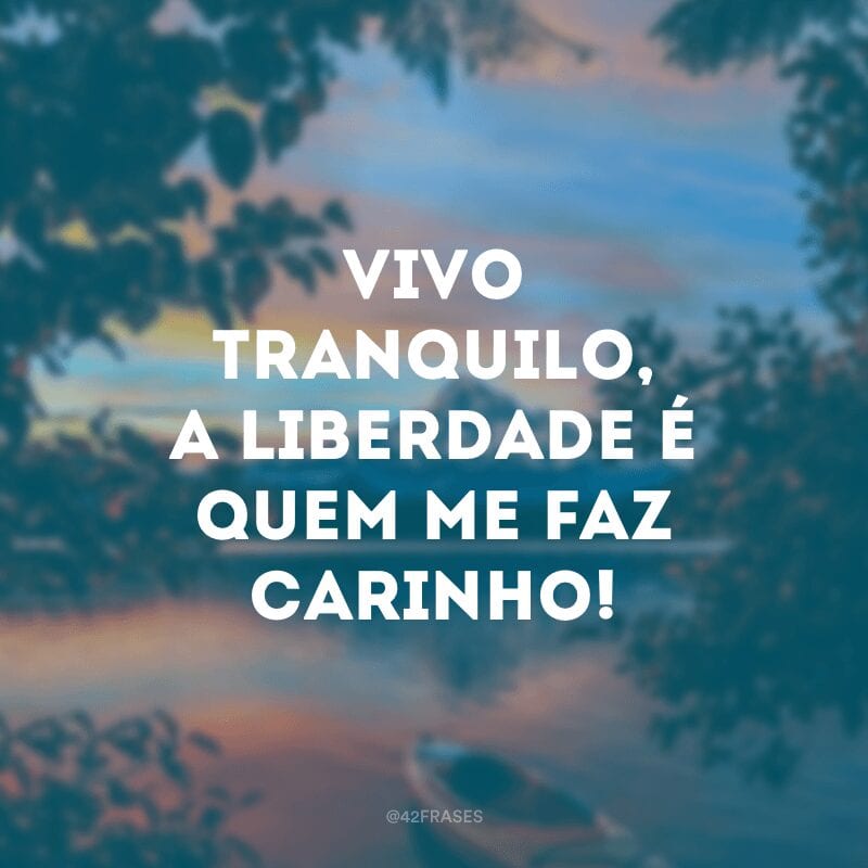 Vivo tranquilo, a liberdade é quem me faz carinho!