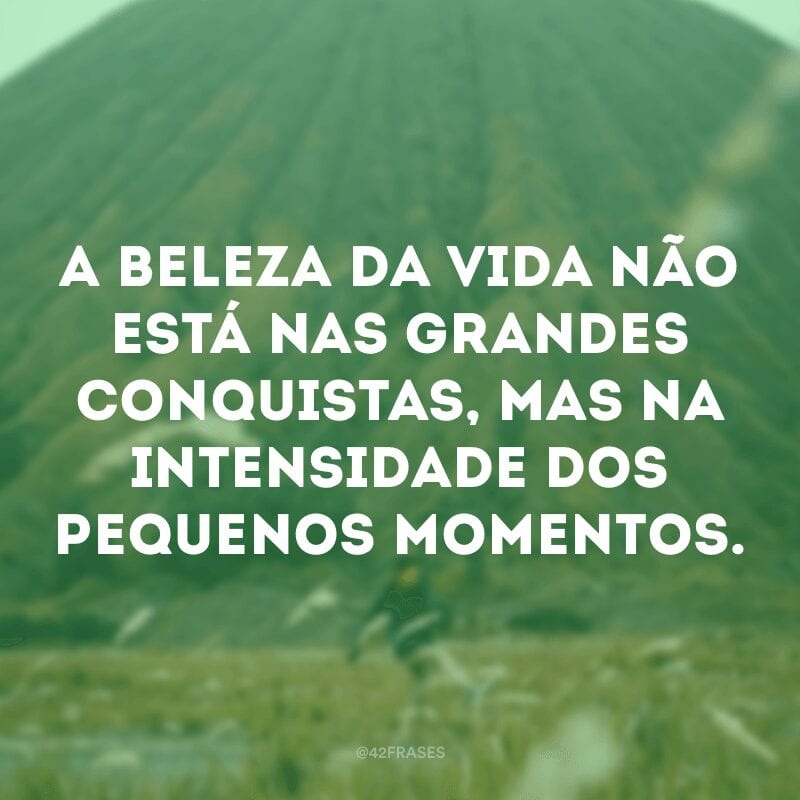 A beleza da vida não está nas grandes conquistas, mas na intensidade dos pequenos momentos.