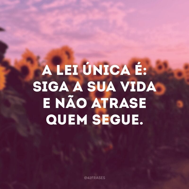 A lei única é: siga a sua vida e não atrase quem segue.