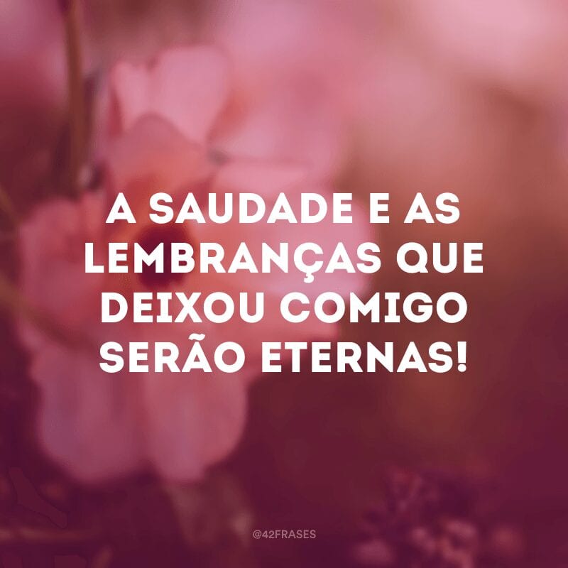 A saudade e as lembranças que deixou comigo serão eternas!