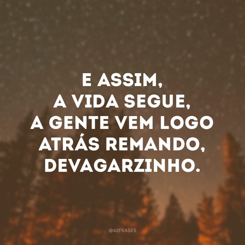 E assim, a vida segue, a gente vem logo atrás remando, devagarzinho.