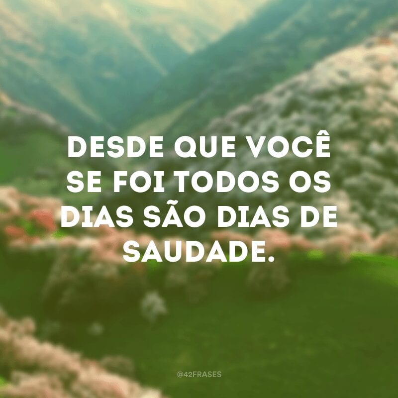 Desde que você se foi todos os dias são dias de saudade.