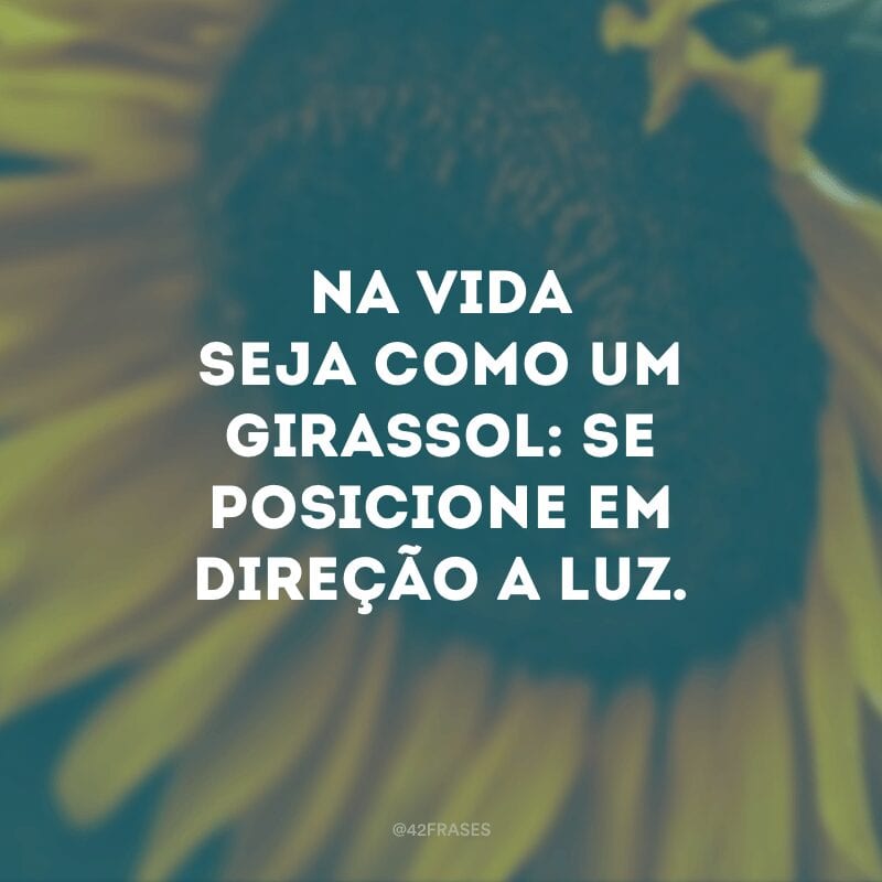 Na vida seja como um girassol: se posicione em direção a luz.